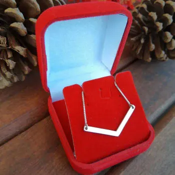 Colar Feminino V em Prata 950 (0)